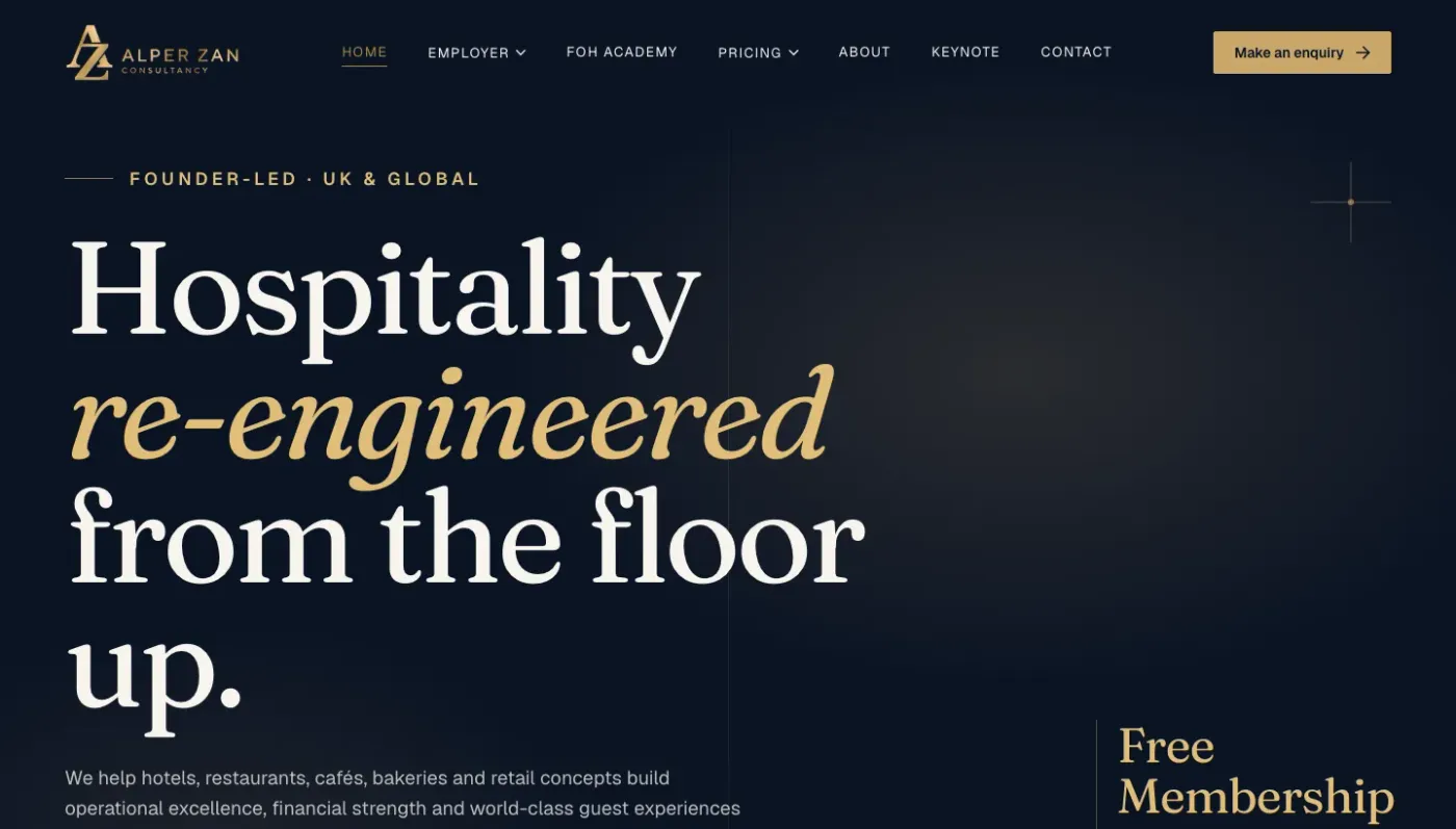 Screenshot of the Alper Zan Consultancy website